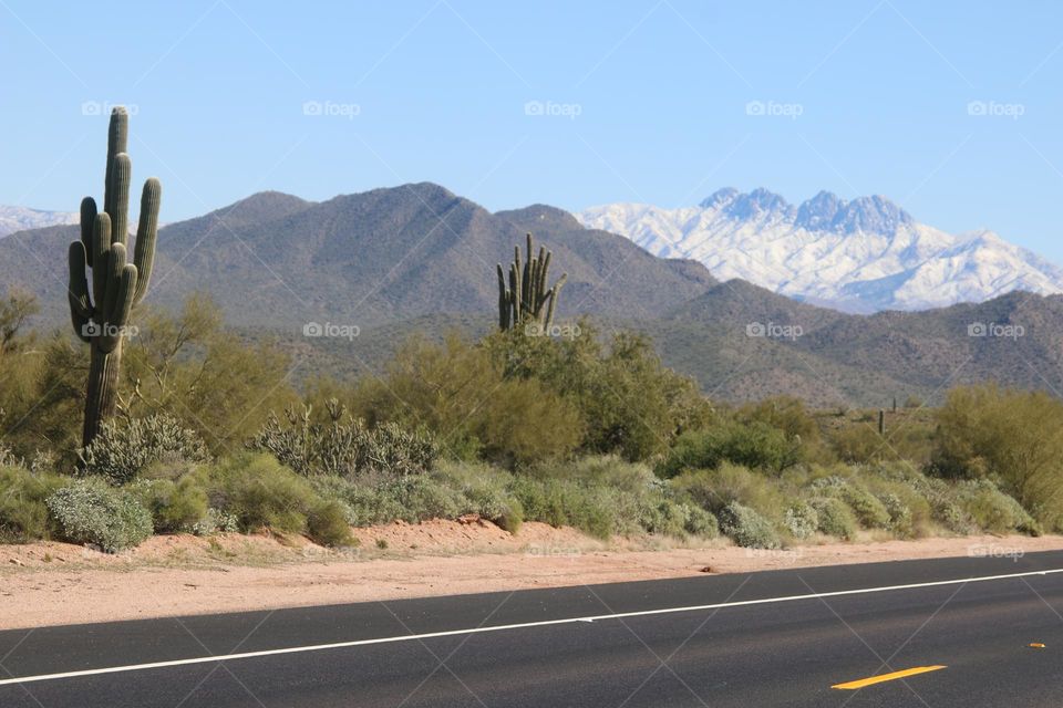 Arizona Highway in the Desert