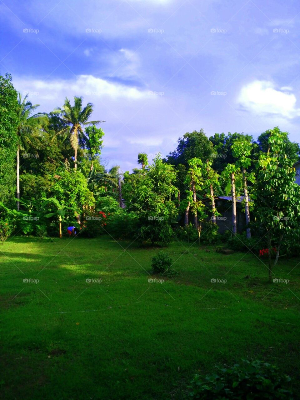 peaceful and greeny place