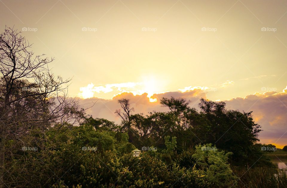 Sunset, Dawn, Tree, Landscape, Sun