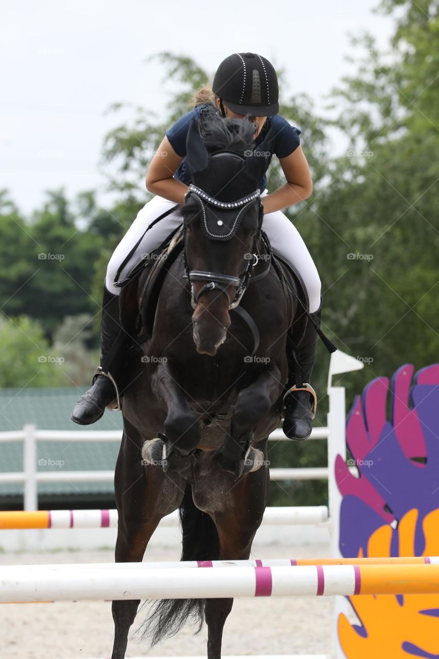 Horse and rider jumping on show jumping competition