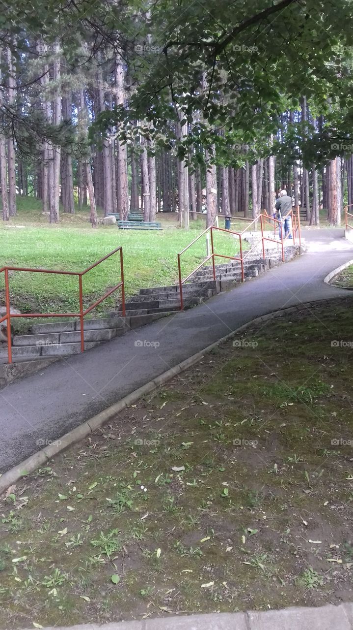 Park in Banja Vujan
