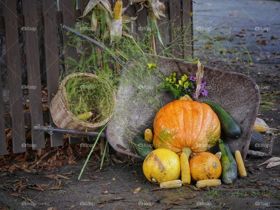 Harvest festival decoration