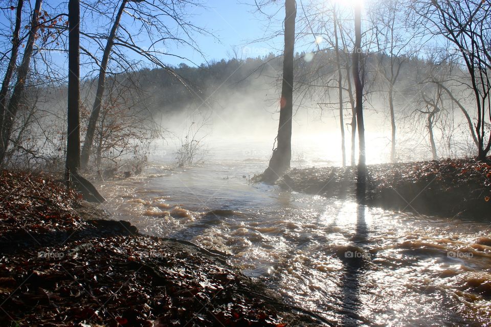 Sunlight on river