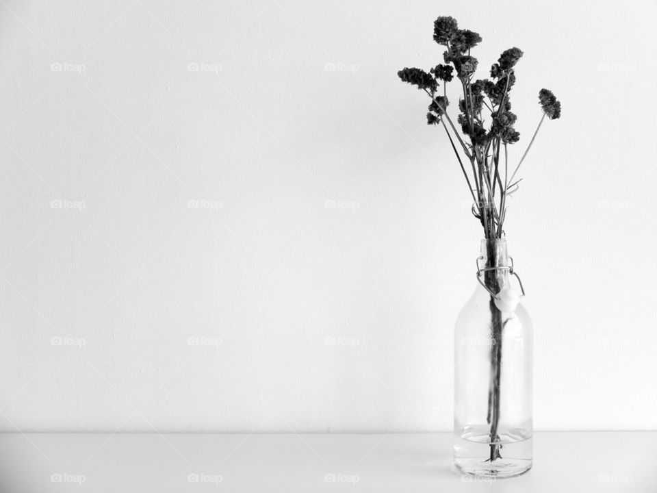 Household table setting with bottle and flower branch