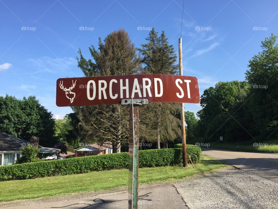 Orchard st