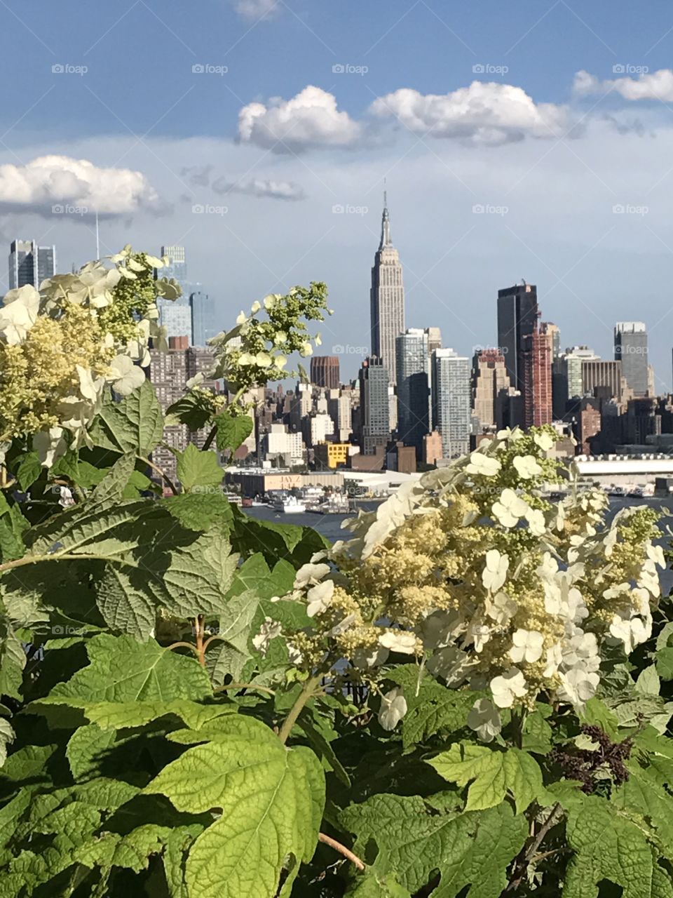 Manhattan View Flowers