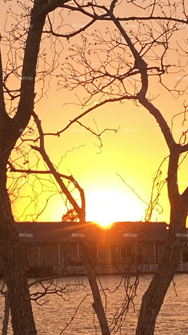 Great evening for Sunset Sun still high with Yellow Highlights around Center. Evening Backlit glow dominate across the sky. Trees still leafless but the Willows are leading up these early days of Spring. 