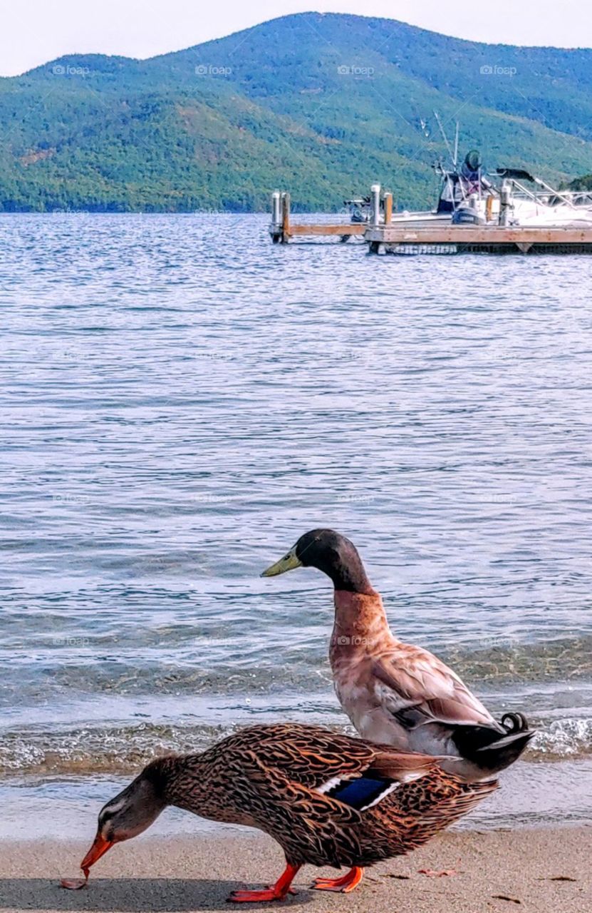 Beautiful Adirondacks!