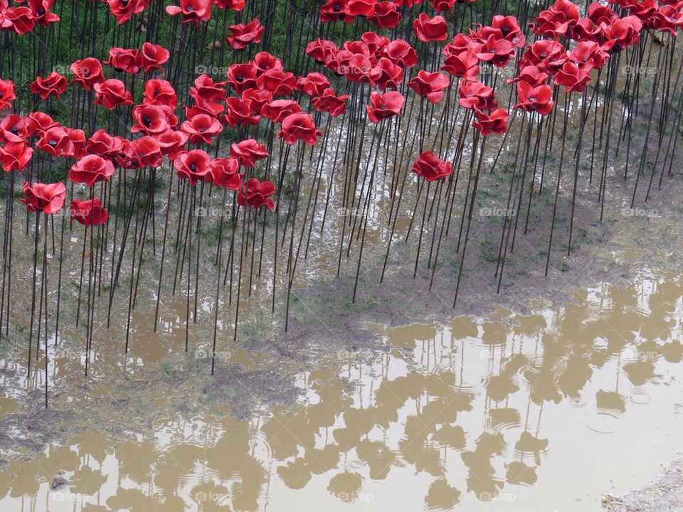 Blood swept land and sea of red