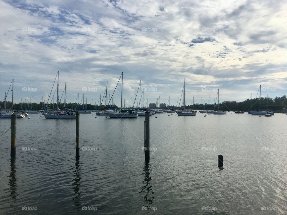 Coconut Grove, Florida