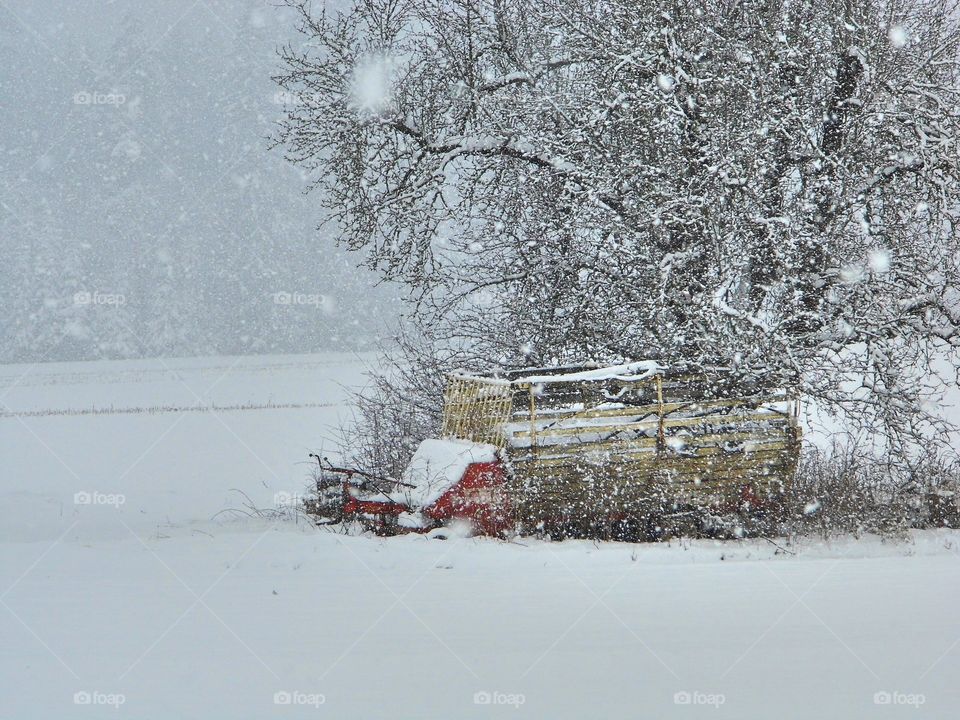 Snow White and tree in landscape from frame