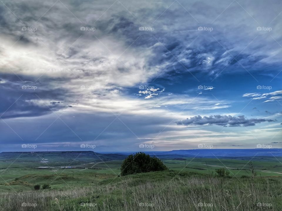 Russia nature view eco focus day part sun sunny travel Light reys trip tree form plant part shades shape beauty nature greens outdoor freedom happy mood clouds moody