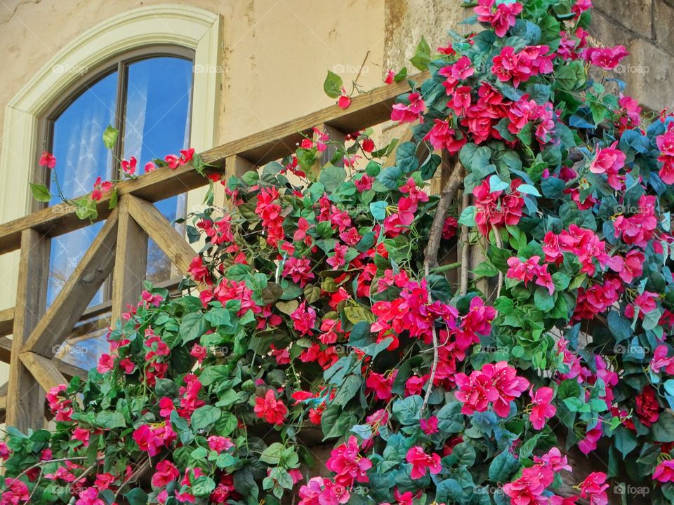 Violet Bougainvillea Spilling From A Balcony