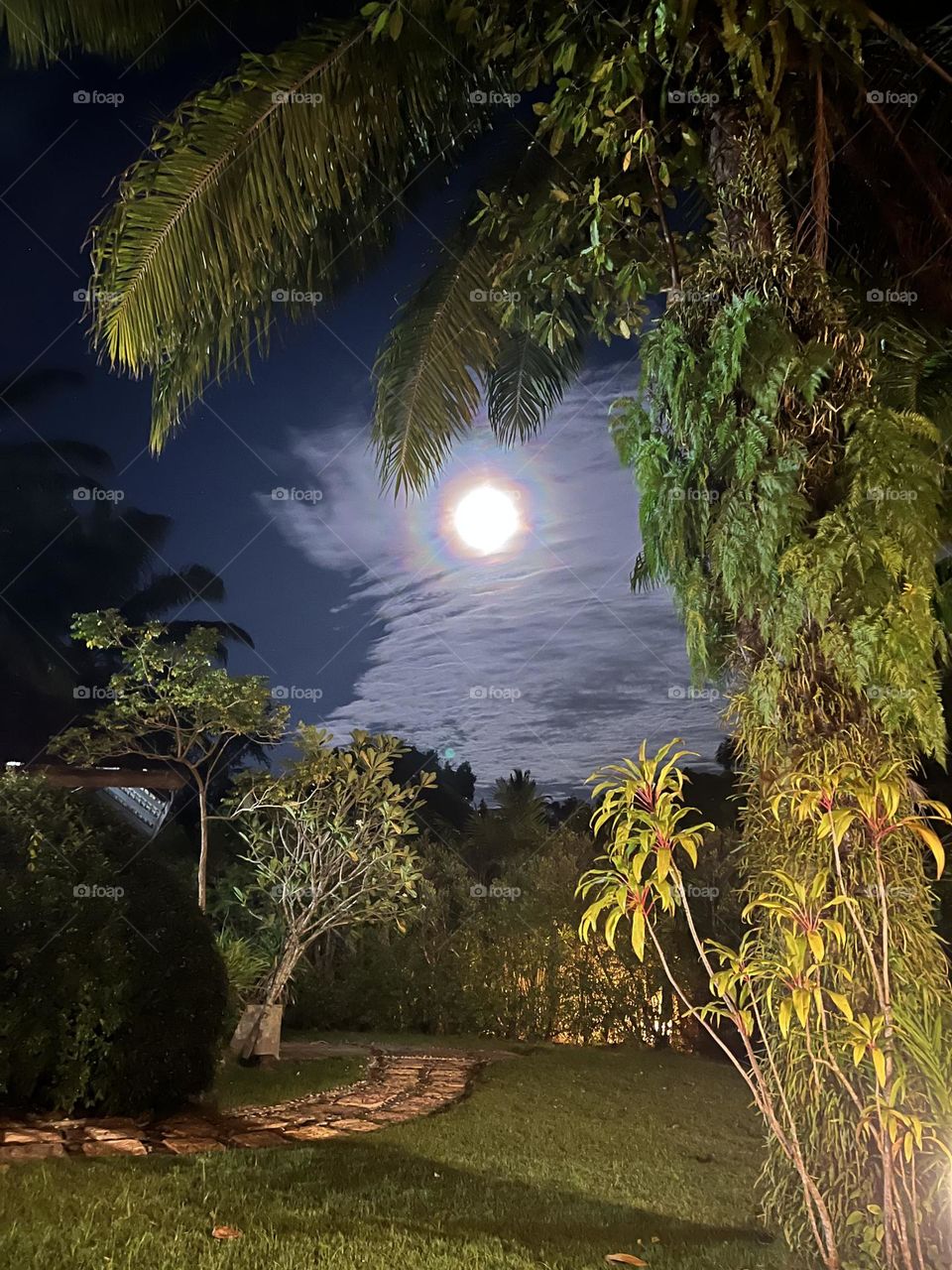 Beautiful fool moon night in a garden soaked in moon light