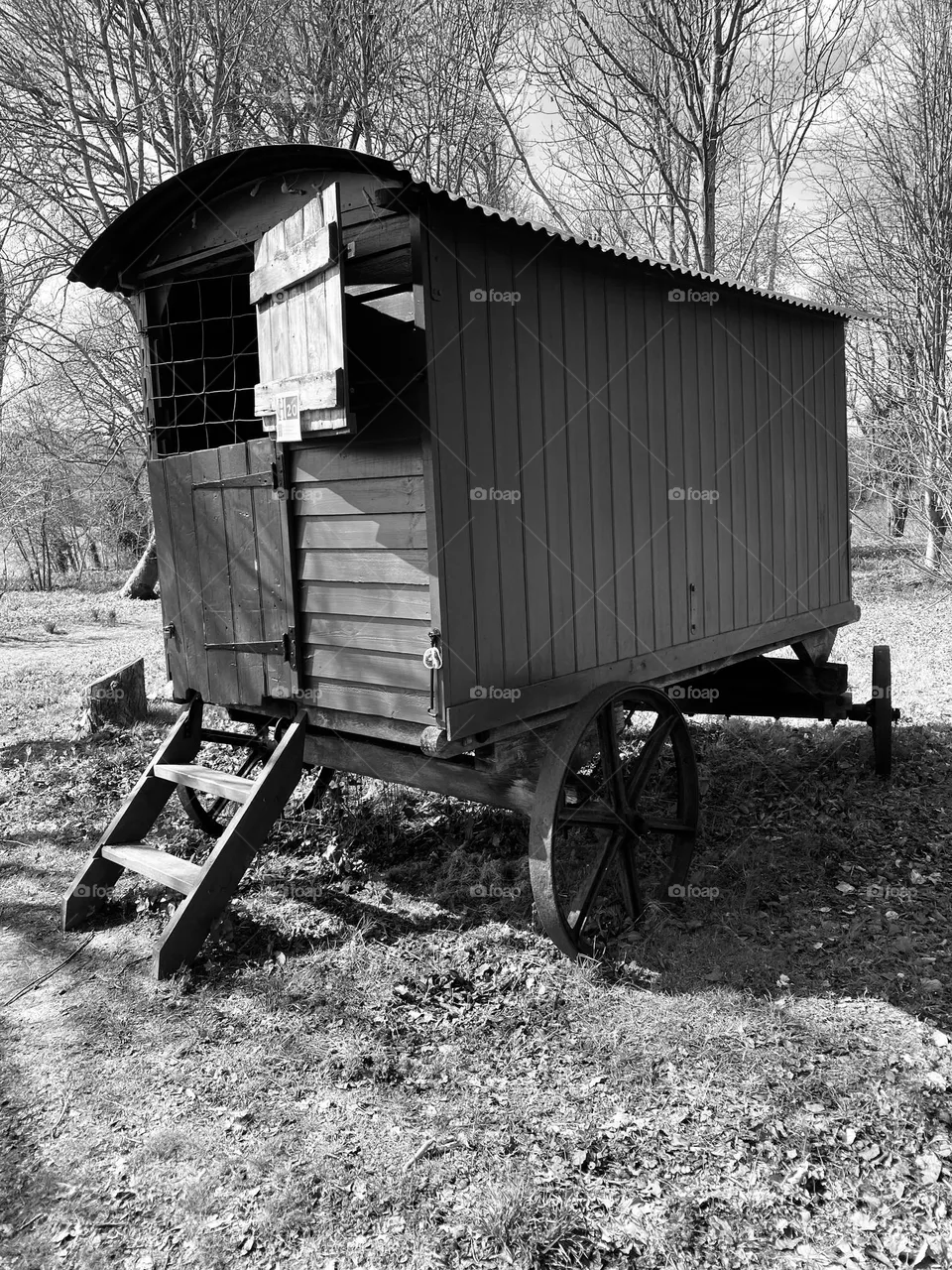 Wagon 