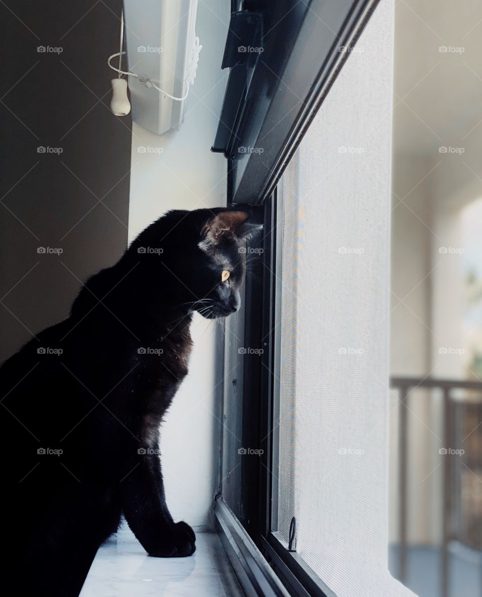 The elegance of someone who doesn’t pay rent but looks so good while doing it 