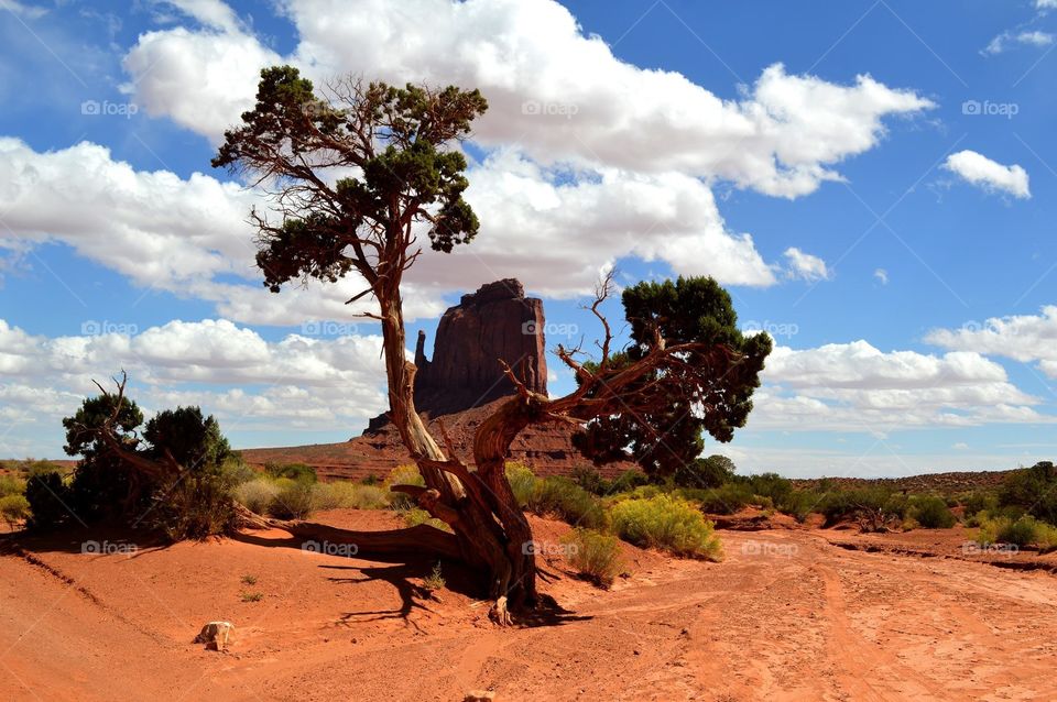 A view  of the Mitten West butte along the Wildcat Trail in Monument Valley, Utah. 