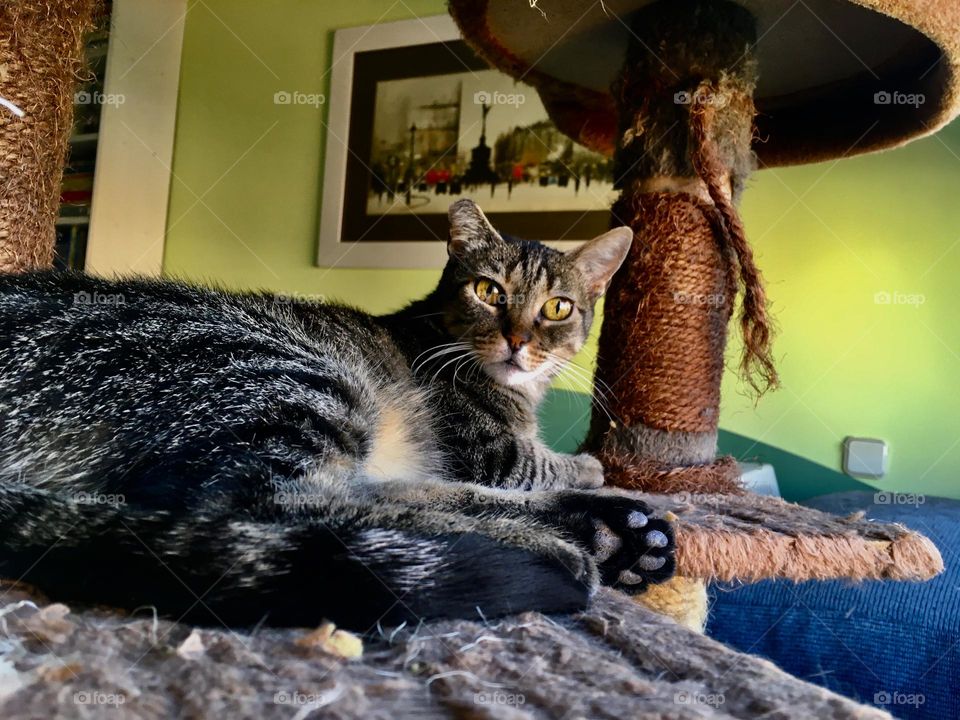 Staring at me like this🤗