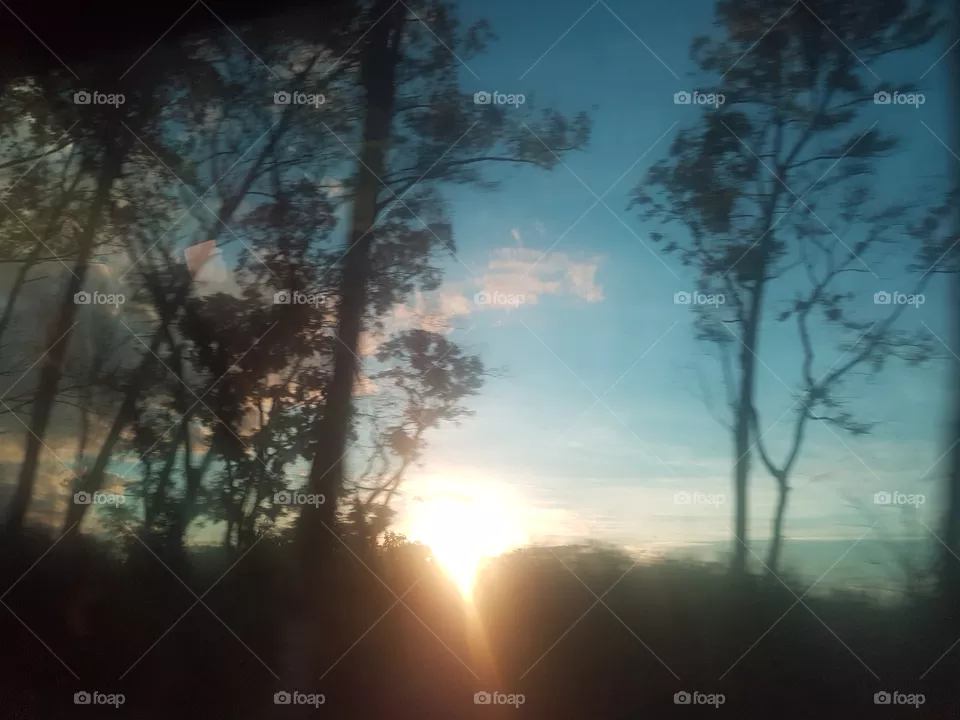 Sol