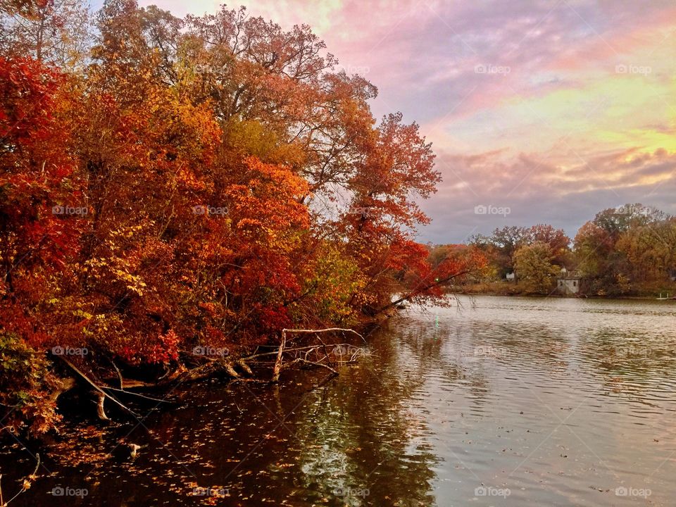 Fall on the lake