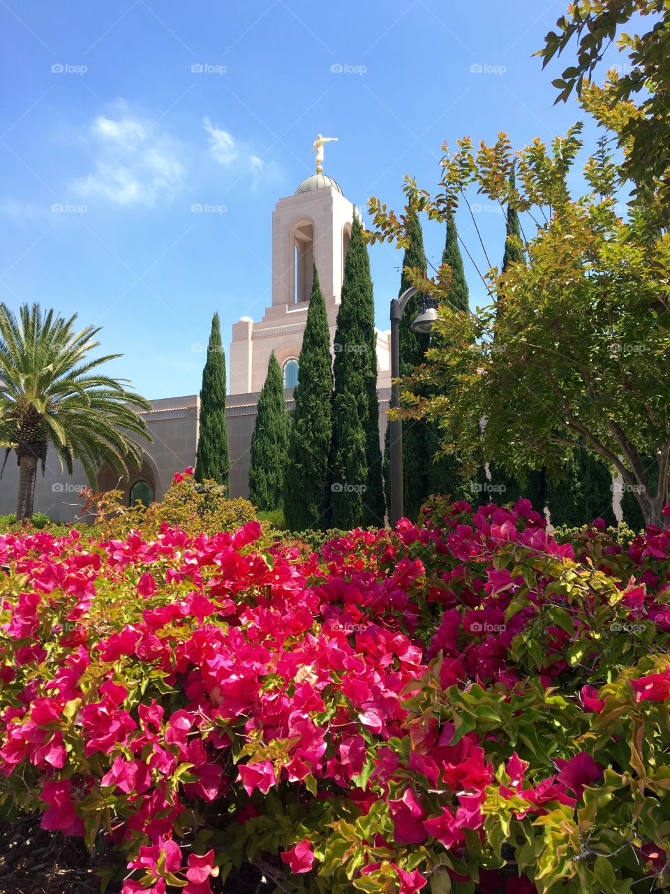 Newport Temple