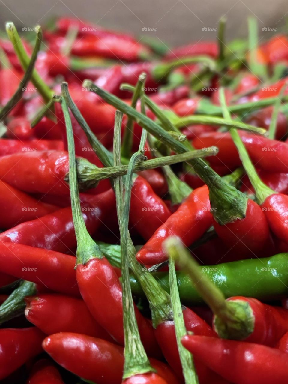 Two color red and green (fresh bulk pepper)