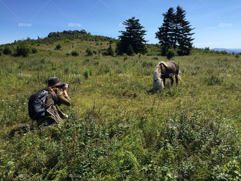 Mammal, Landscape, Grassland, Outdoors, Bush