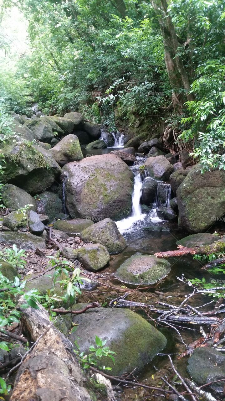 stream water. beautiful island secrets