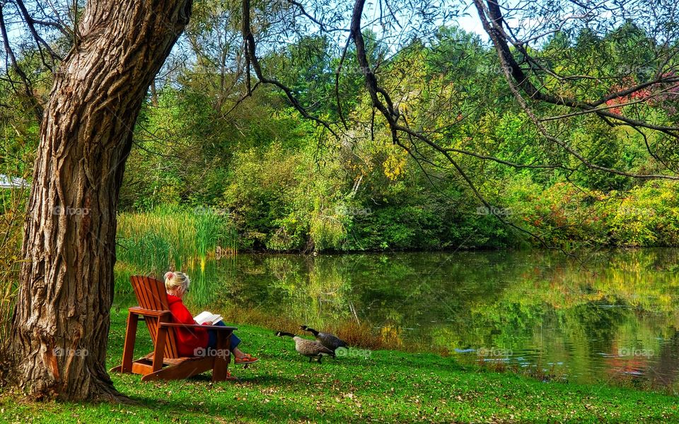 person read a book of nature