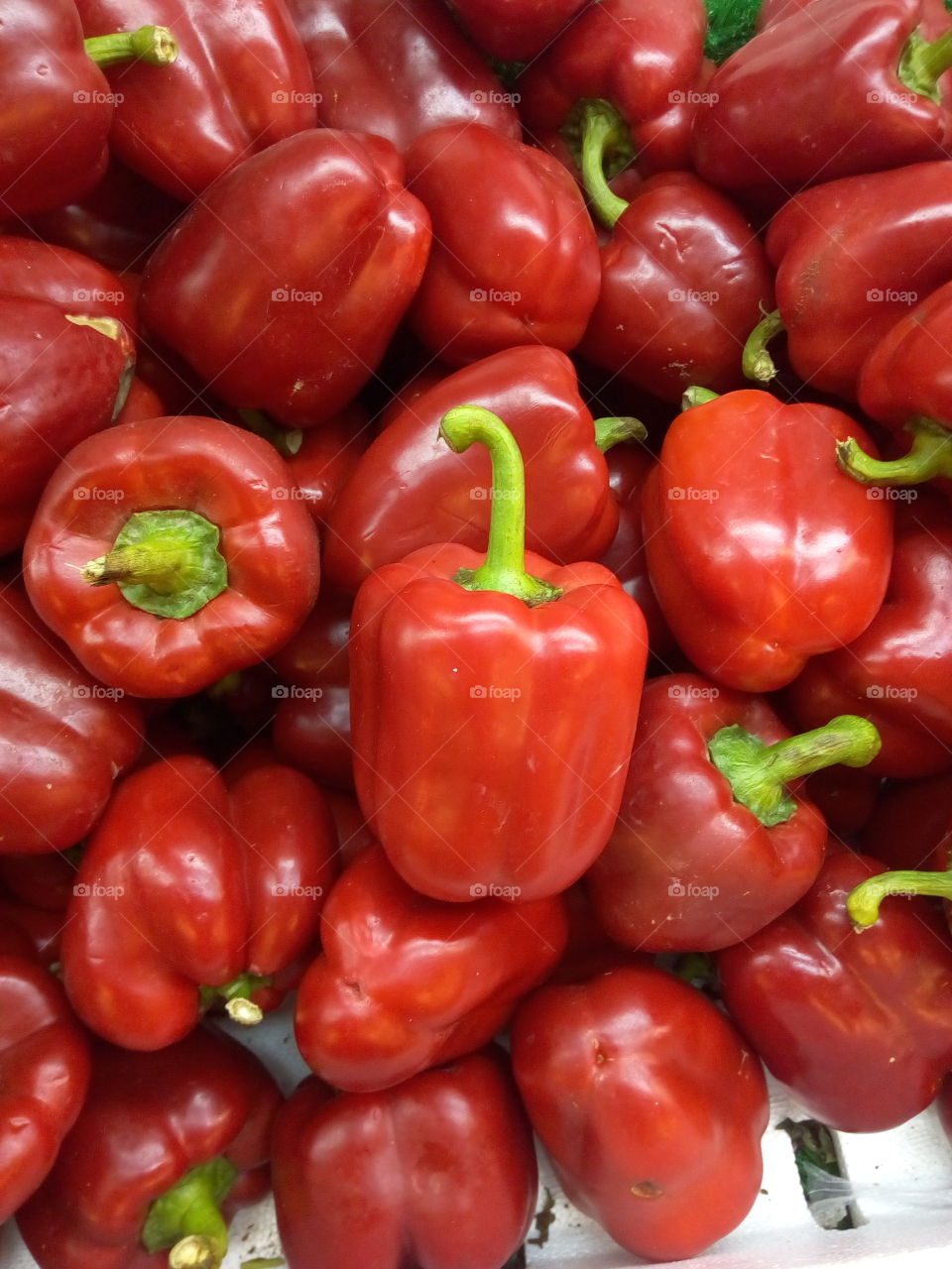 red paprika's
