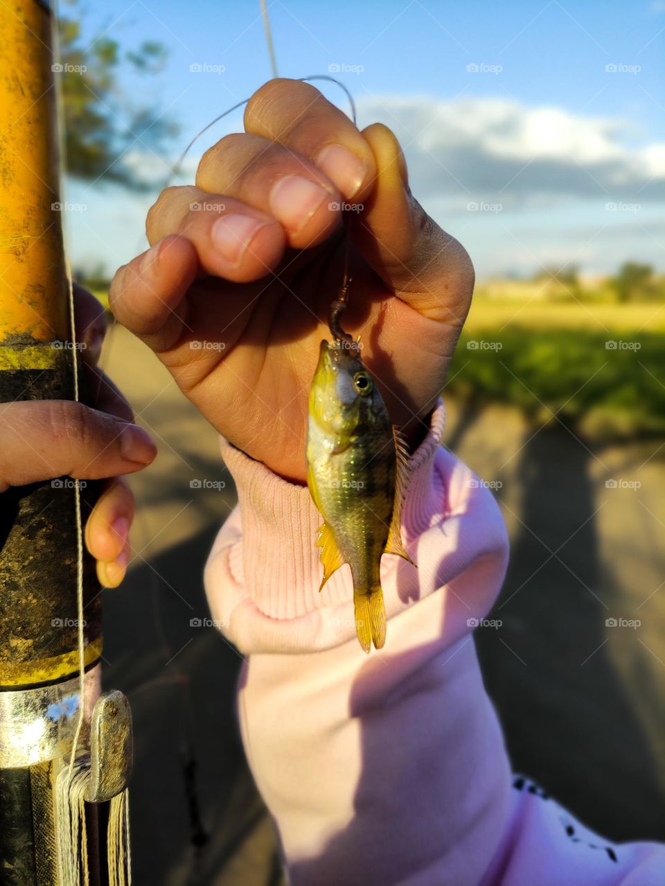 catching a fish