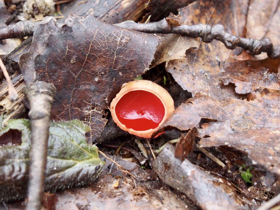 Something red ☺️