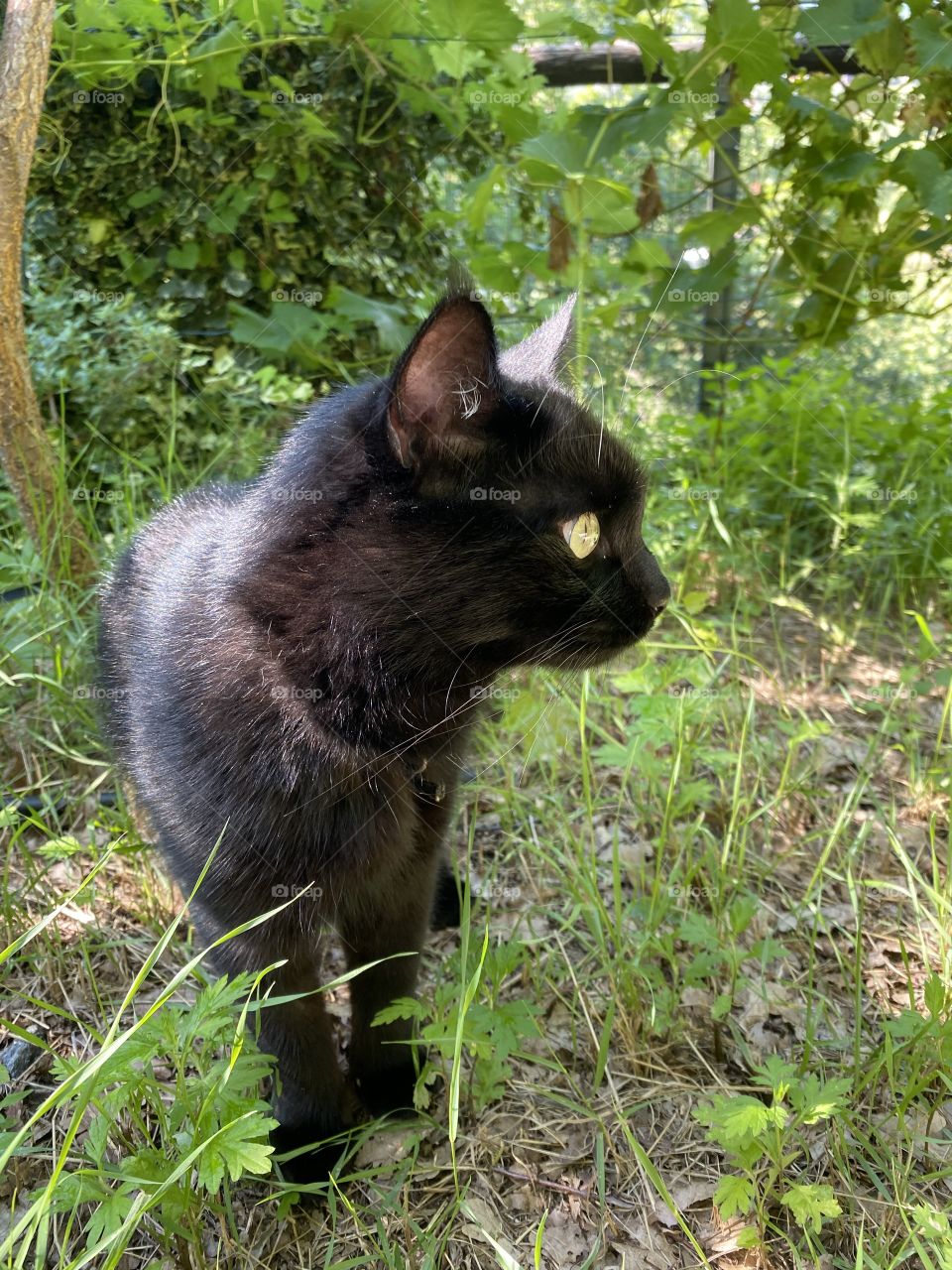 Uno sguardo attento....