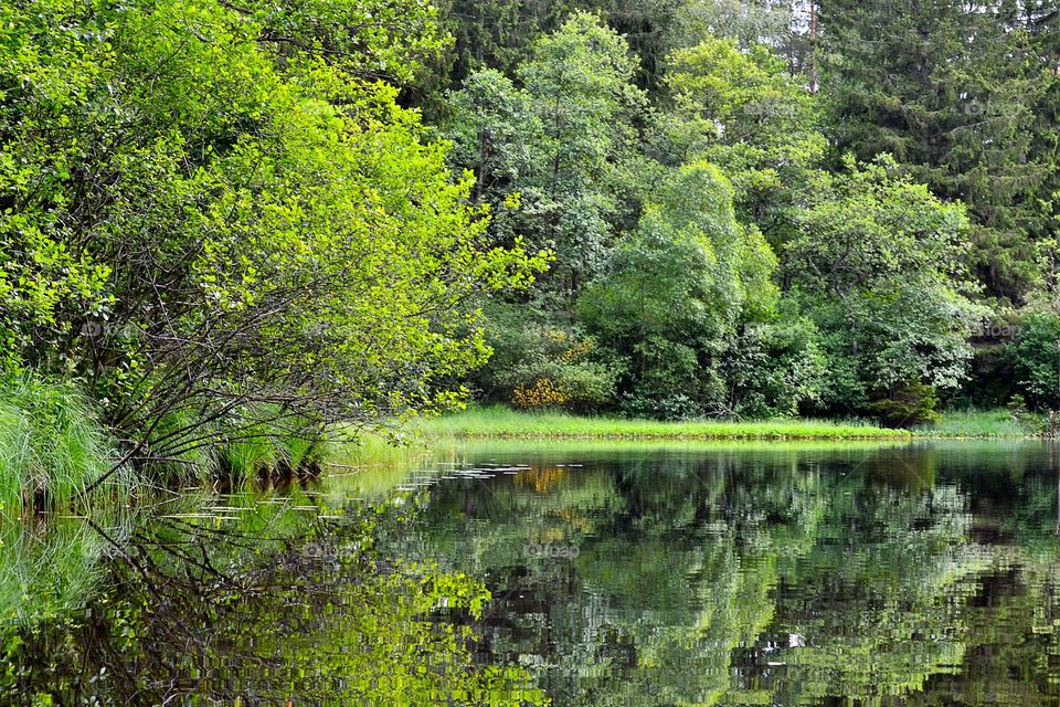 Scenic view of river