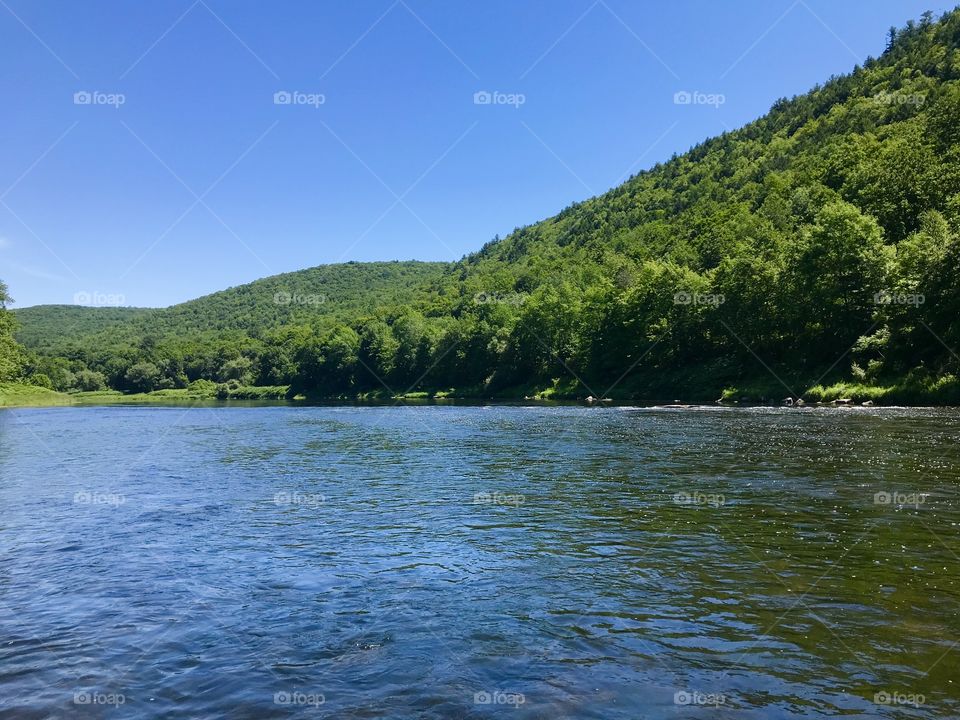 Summer along the river