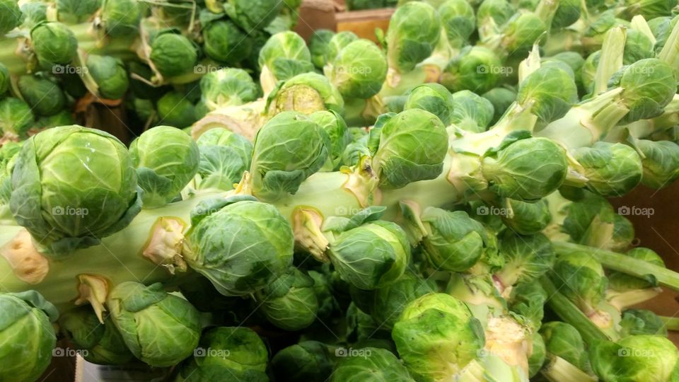 Fresh Brussel sprouts