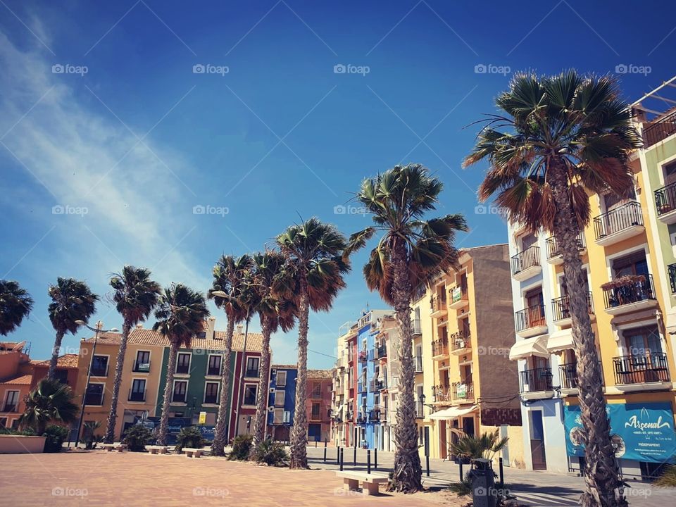 Houses#palms#colors#sky#town