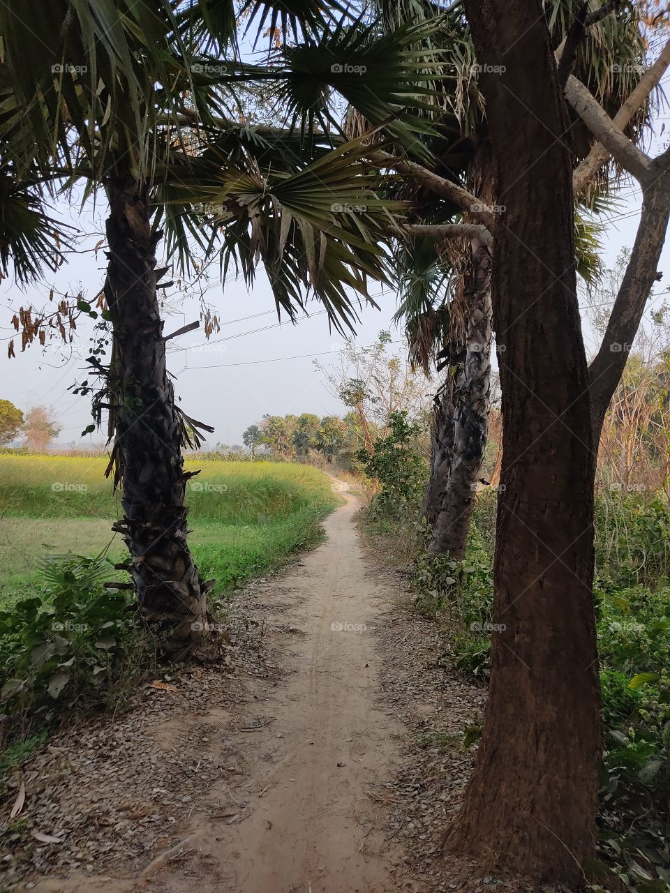 wonderful unpaved road.