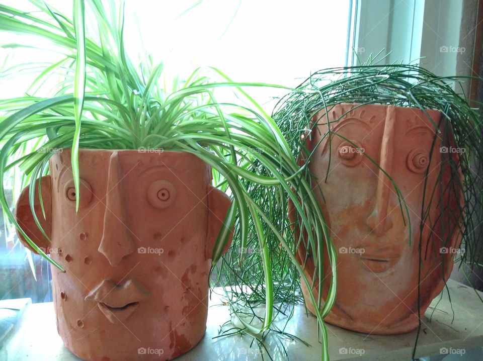 special plant pots
