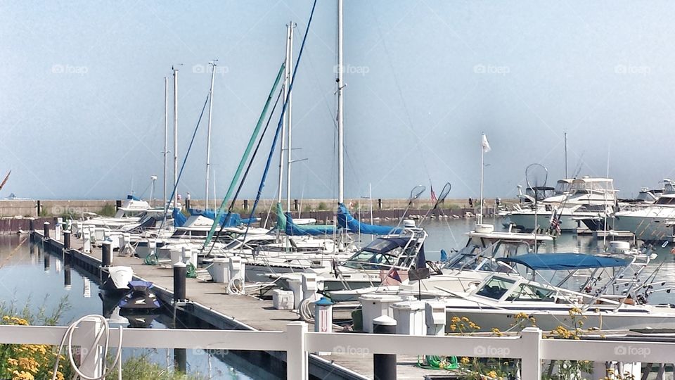 Marina in Summer