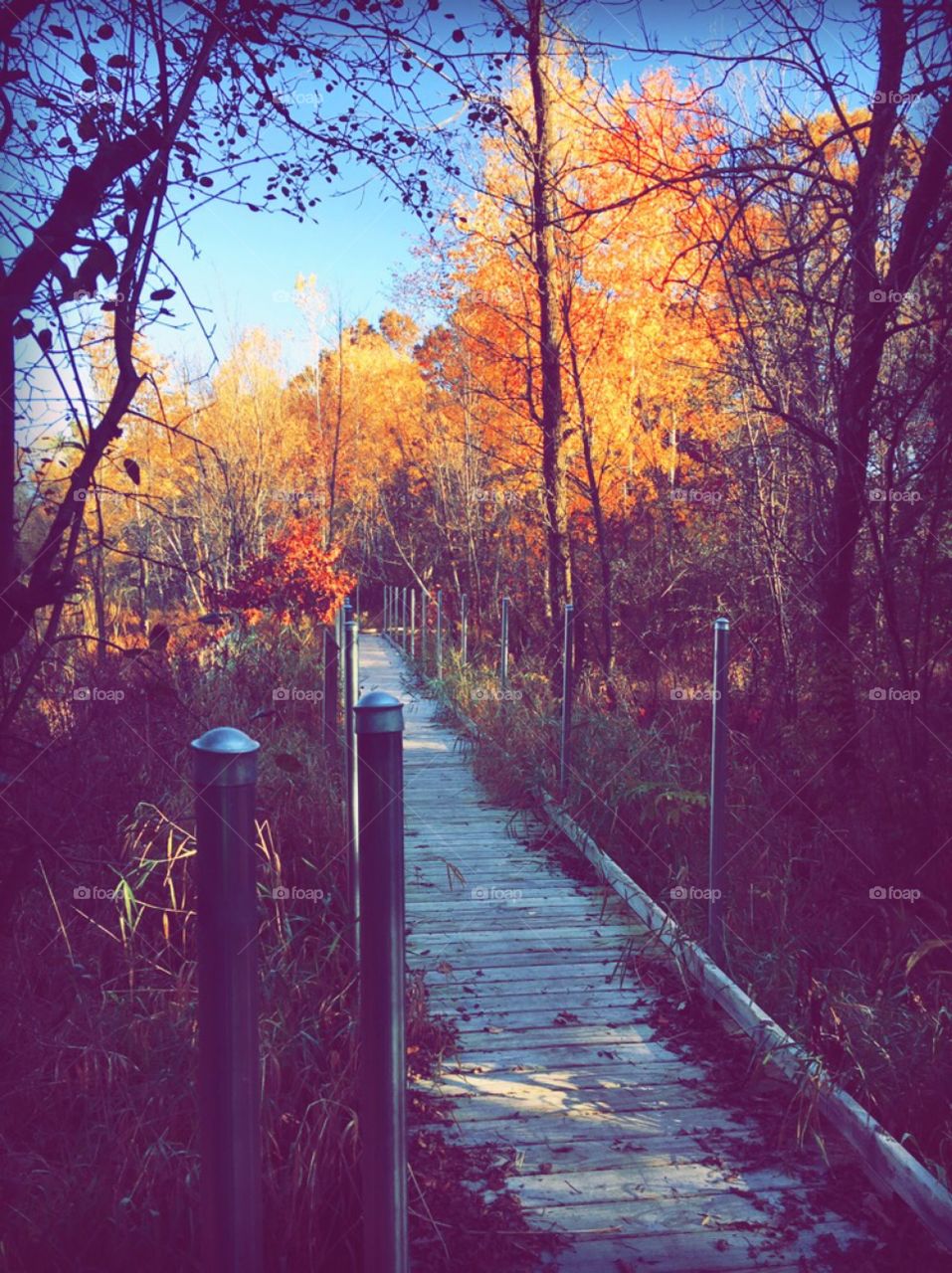 Wisconsin Fall Day