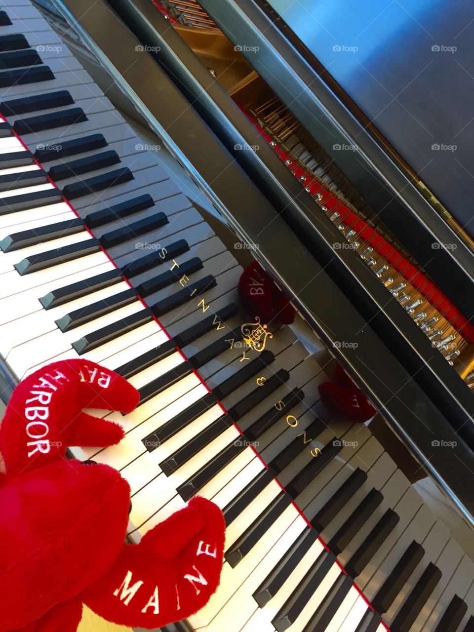 Lobster playing on a Steinway Piano 