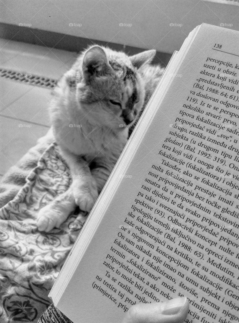 best company. books and cats.