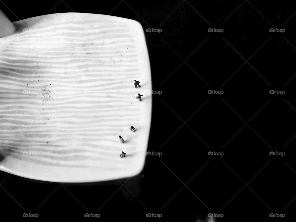 From the world of liliput, looking for a way out