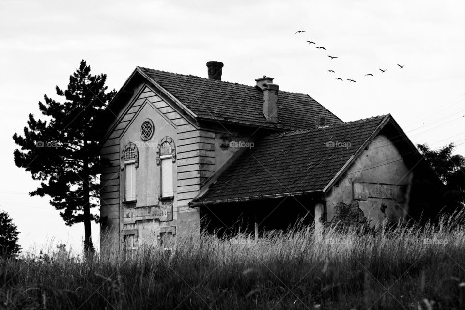 Abandoned house in black and white colors