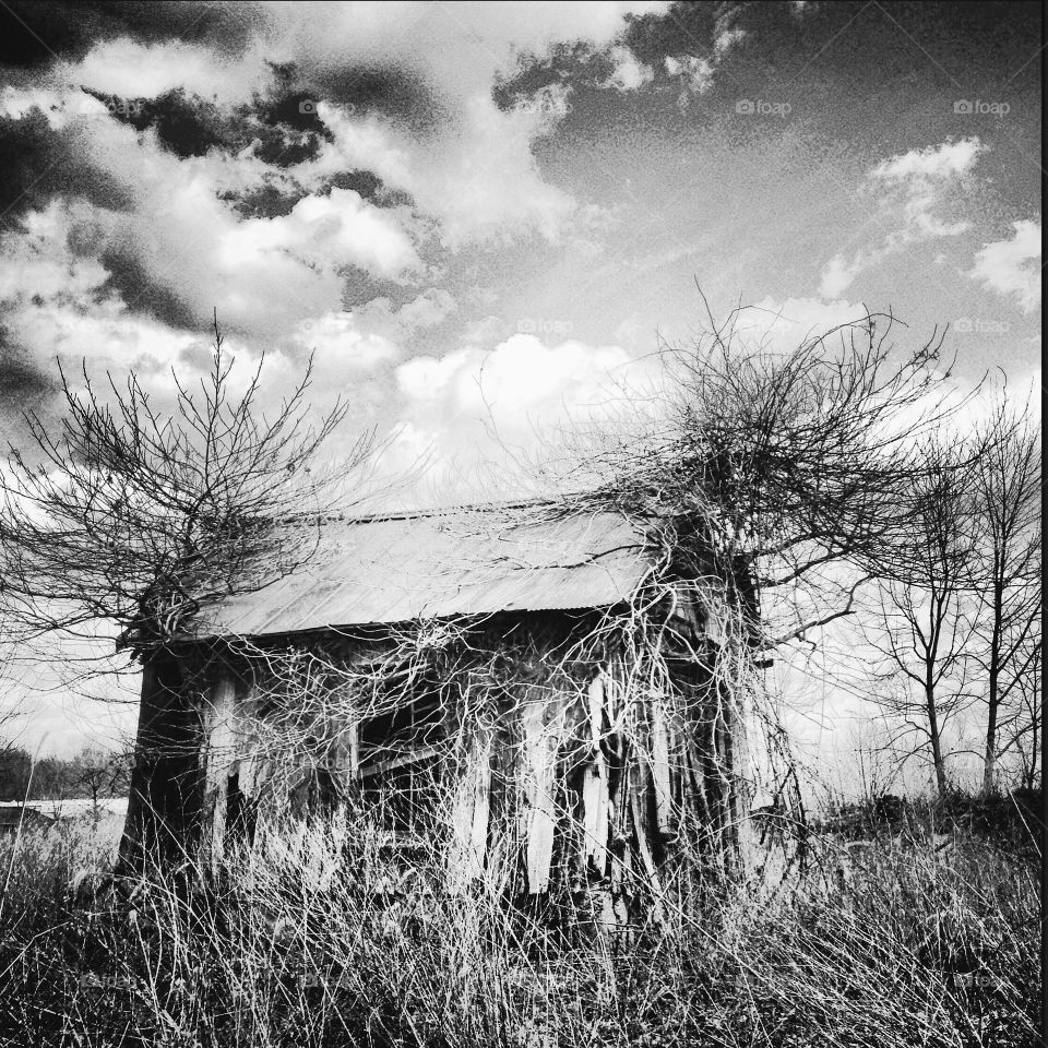 Spooky abandoned barn 