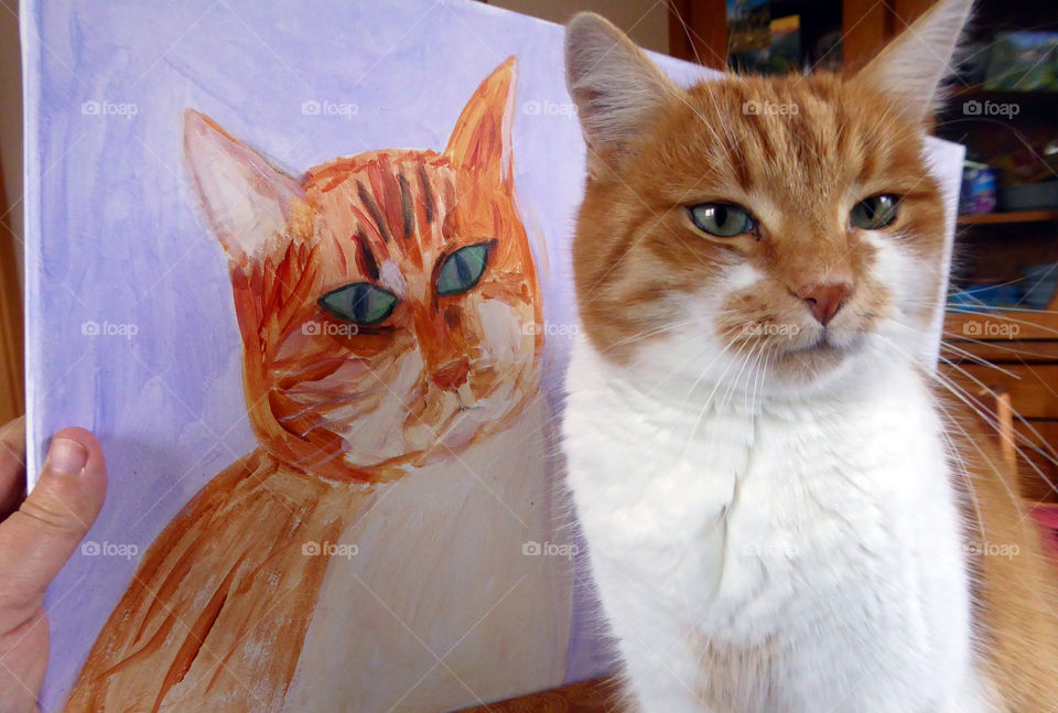 Red cat with her painted portait
