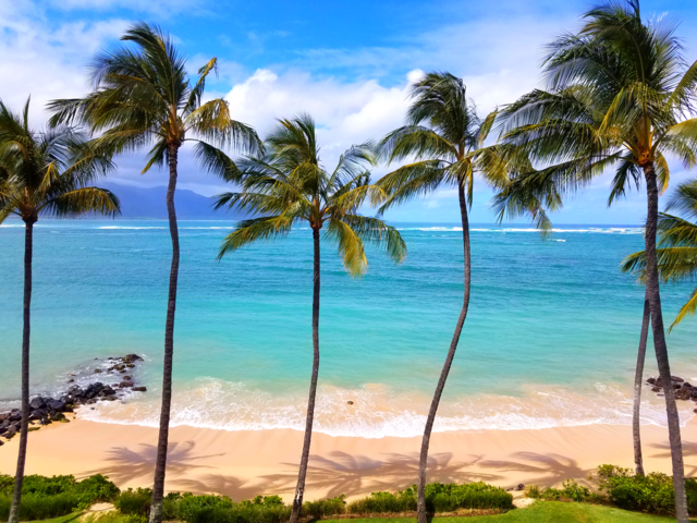 Beautiful ocean