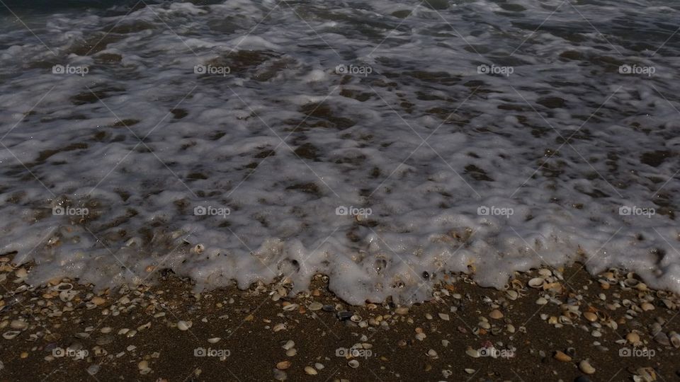 washed up on the shore