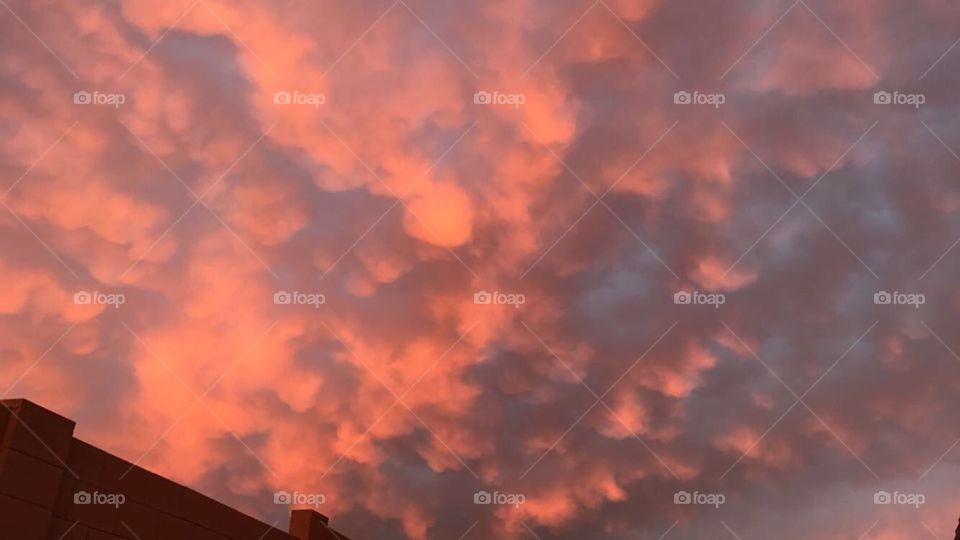 Pink popcorn clouds 